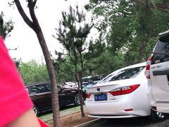 -南宫五洲植物乐园