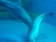 -皇家极地海洋世界-售票处