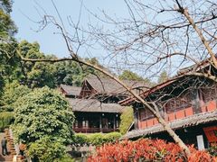 -峨眉山报国寺