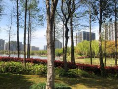 -南翔镇银翔湖公园