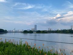 -南宁南湖公园