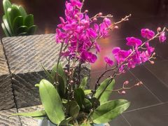 -黔蘑菇四季餐厅(观山湖店)