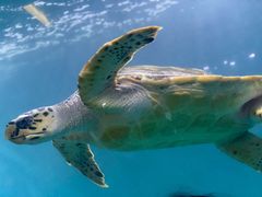 -青岛海底世界-水族馆