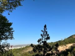 -青藏高原野生动物园