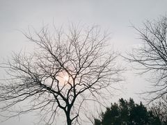 -浙江大学(玉泉校区)