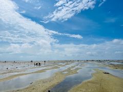 -红树林天天赶海