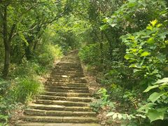 -杭州半山国家森林公园