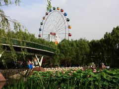 -济南植物园