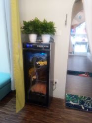 点击看大图 -小熊维尼高端儿童摄影(宝安旗舰店)