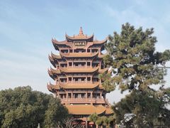 -黄鹤楼公园(黄鹤楼)