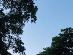 -浙江农林大学(东湖校区)