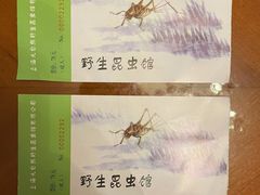 门票-上海大自然野生昆虫馆