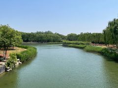 -大兴滨河森林公园