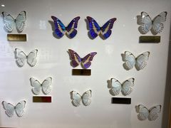 -上海昆虫博物馆