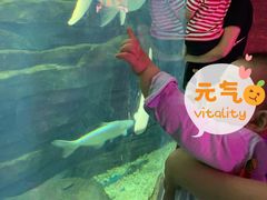 -无锡海洋馆
