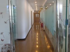 -上海康怡口腔门诊部Alpha Dental