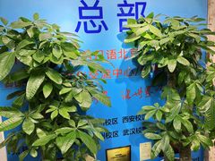 -凯特语言中心·STBJ日语等级考点(慈云寺总校)
