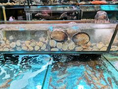 水产区-金翠皇宫粤菜·点心·海鲜(科技园店)