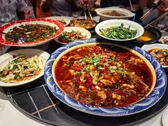 -新概念来凤鱼(璧山店)