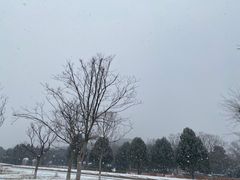 -秦始皇帝陵博物院-丽山园