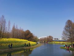 -上海山野camping·户外天幕烧烤·团建拓展营地