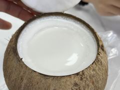 -椰爺爺·椰子冻砵仔糕