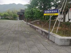 -大唐贡茶院