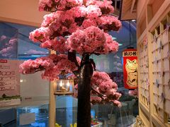-伊豆野菜村(大族广场店)