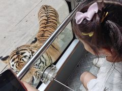 -西安秦岭野生动物园