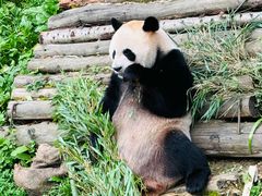 -黔灵山公园