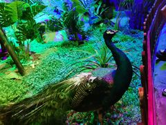 -绿色星球动物主题公园