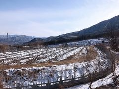 -阳台山自然风景区