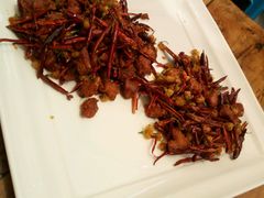 -院8里·少城记忆老川菜(宽窄巷子店)