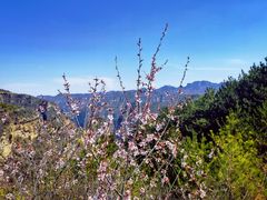 -山西通天峡景区