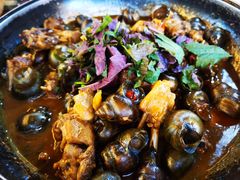 田螺焖三洲黑鹅-园林美食城·本土农家菜(杨和镇店)