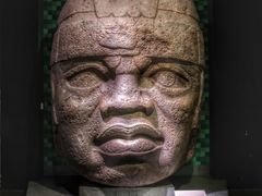 -美国自然历史博物馆