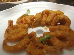 -三强鸽子(中原路店)