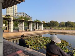 -月湖风景区