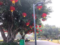 -万绿园