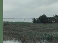 -芒洲湿地公园