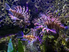 -太平洋海底世界