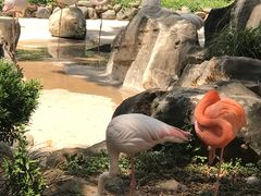 -昆明动物园