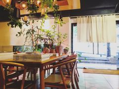 -柴务处·柴犬主题狗咖