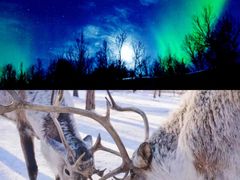 -北极村旅游风景区