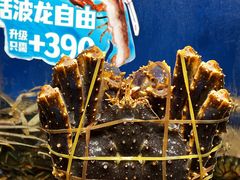 -第六季自助餐厅(北太平庄店)