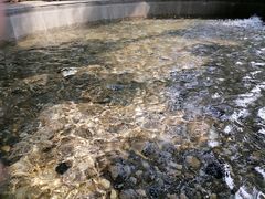 -罗浮山嘉宝田森林温泉度假酒店