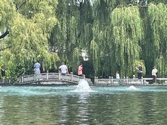-百脉泉景区