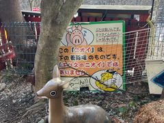 -宫城藏王狐狸村