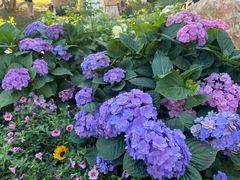 -人民公园(罗湖区)