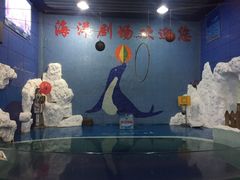 -左海海底世界